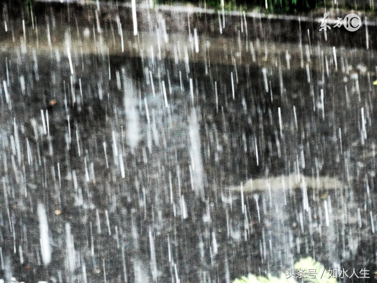 晨雨抒怀,晨雨的美文