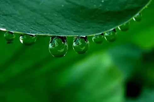 雪儿:细雨冥蒙风静柔,山青水绕巷深幽
