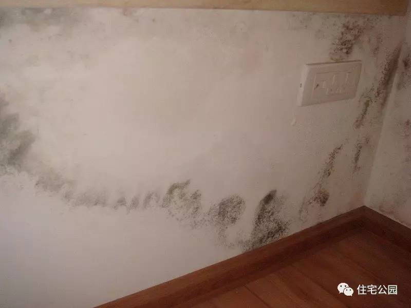 墙体发霉返潮的原因,墙体发霉返碱涂刷