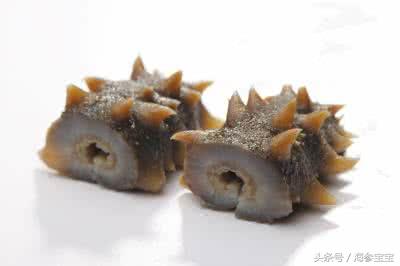 以后买新鲜的海参一定要注意了 (全面解析食用海参的几个误区)