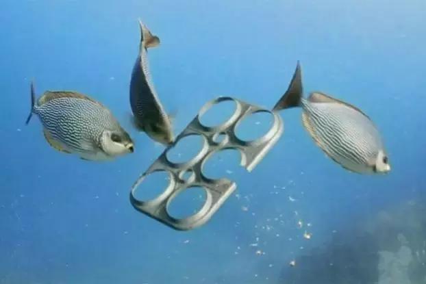 水母消失了还能不能复活,消失的水母实验原理