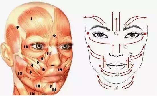 你是圆脸方脸还是瓜子脸,你是虚胖浮肿还是湿气太重