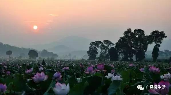 广昌最著名的景点,广昌避暑
