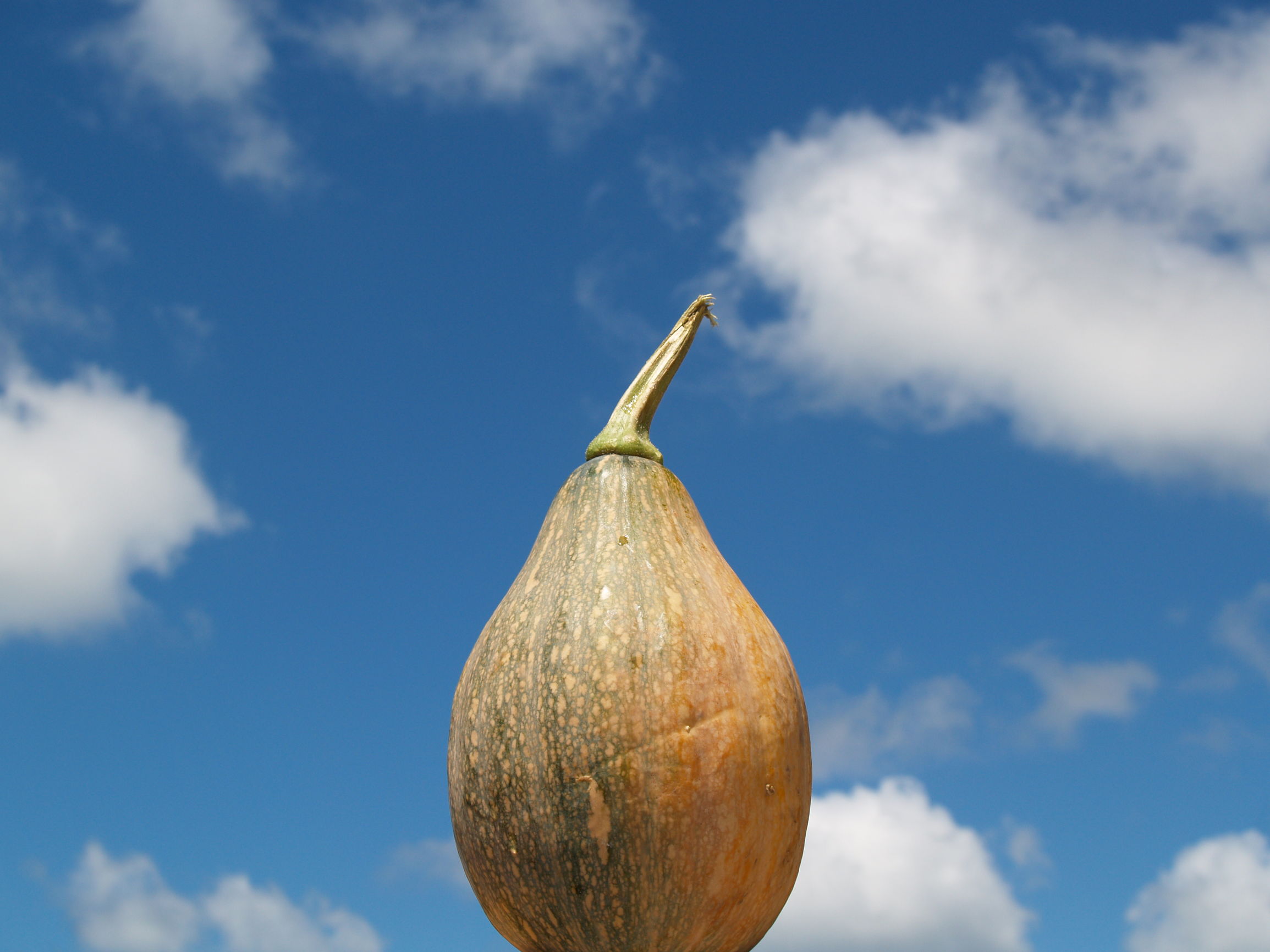 道德经妙解导读与分享,道德经解读大全经典版