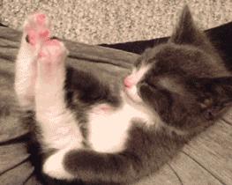 有什么瘦小腿的方法,你们要怎么才能瘦下来