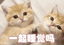 成年了还长痘咋治,50岁的女人脸上还长痘是什么原因