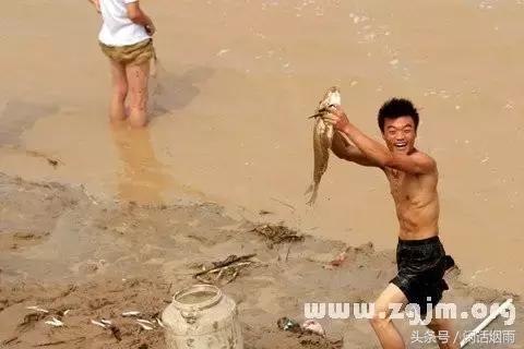 记起那“海子”说起那鱼