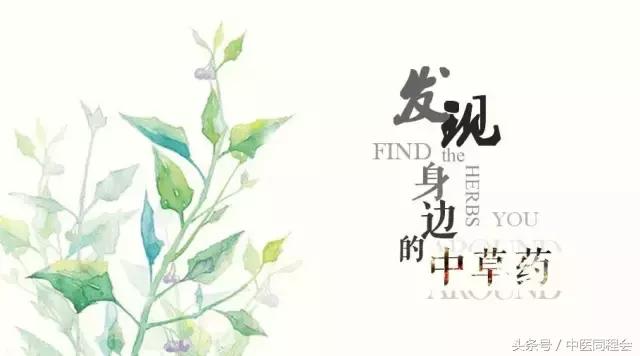 海棠落琼眸的出处,海棠落琼眸解析