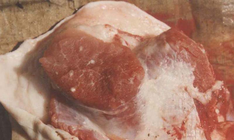 人感染猪囊虫病怎么办,人畜共患寄生虫病中的动物是什么