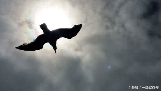 散文概念的本义,散文的含义及特点的讲解