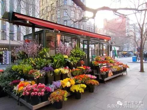 6亿资本作养料，鲜花市场究竟能开成什么样？