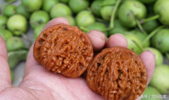 教您几招就能识破假核桃,核桃作假新玩法