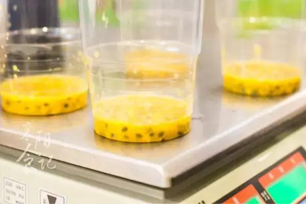 超火网红茶饮,网红爆款果茶瓶装