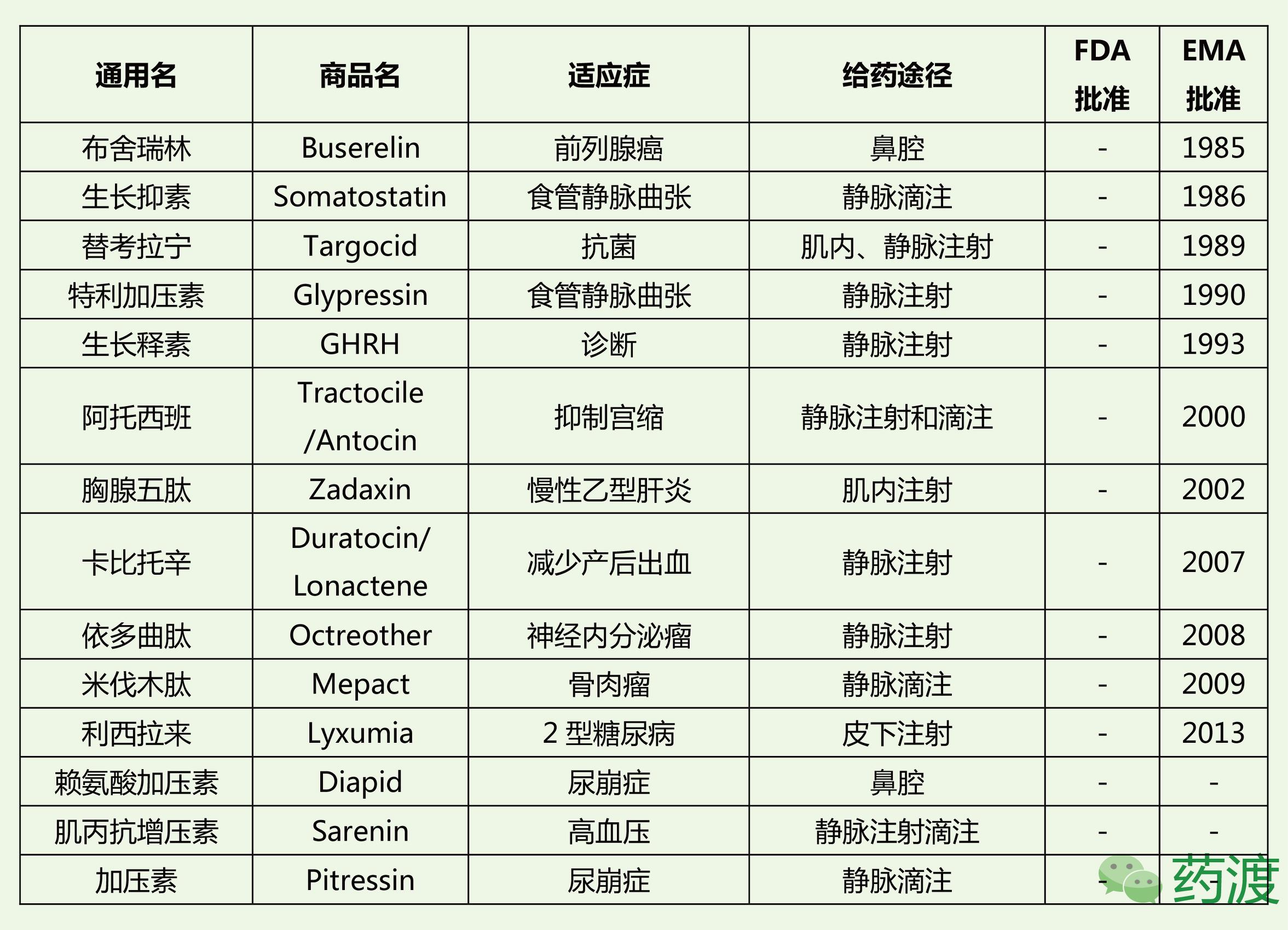 多肽类药物的研究发展,多肽药物研究与开发