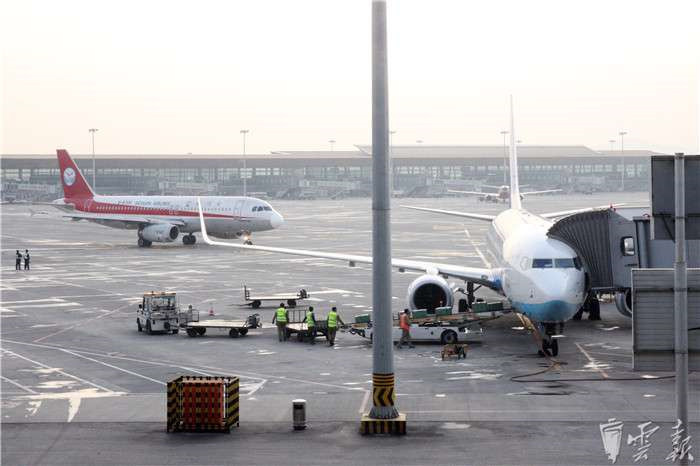 鏆撮洦琚煄韬奖瑙嗛,鏆撮洦琚煄杞﹁締琛屼汉瑙嗛