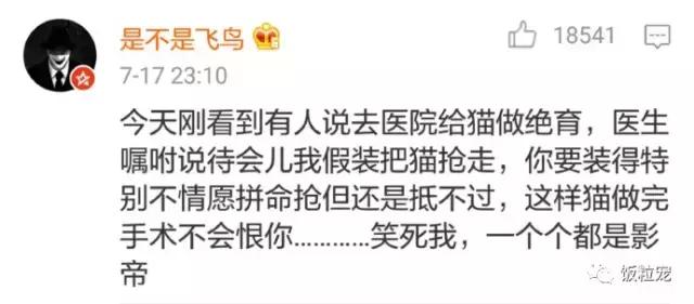 浜戝吇鐚殑鐥涚偣,浜戝吇鐚繃绋嬮亣鍒扮殑闅鹃