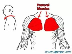 超火的一个驼背矫正,纠正驼背拱肩的训练