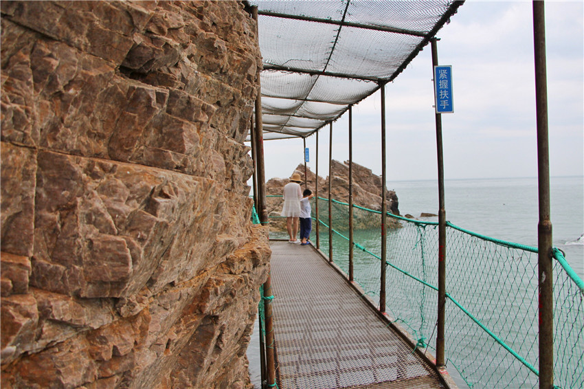 探海外仙境海驴岛,寻找海鸥王国的故事