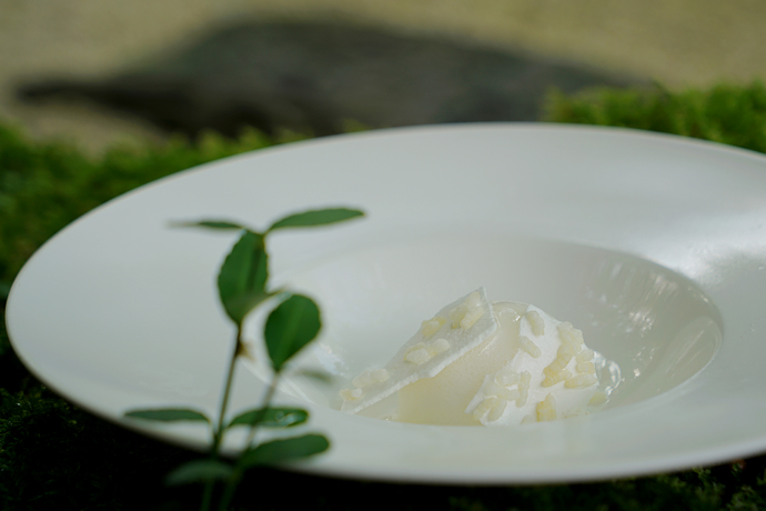 杭州隐藏在山里的民宿,杭州隐藏在山水间高逼格酒店