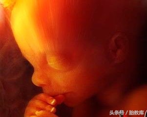 胎宝能听懂说话吗,胎宝听懂妈妈说话