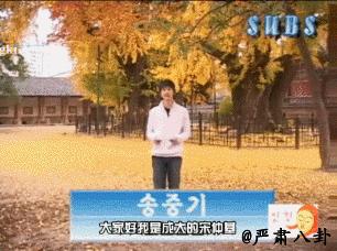 宋仲基撩宋慧乔视频,宋仲基撩宋慧乔