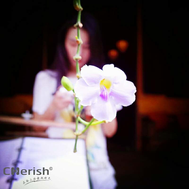 清迈小商品批发市场,清迈宁曼路哪里买伴手礼