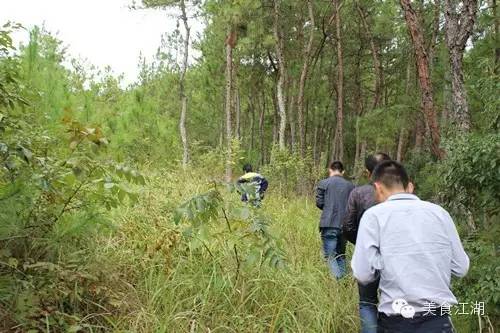 美食有一种情怀叫老味道,美食江湖情