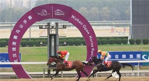 武汉赛马比赛时间表,2017全国速度赛马公开赛直播