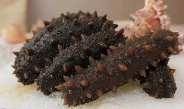 厦门海鲜姿造优惠,厦门悦鼎会海鲜自助