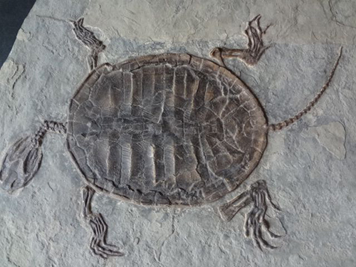 你分得清吗是梦还是现实,你分得清吗文字背景图