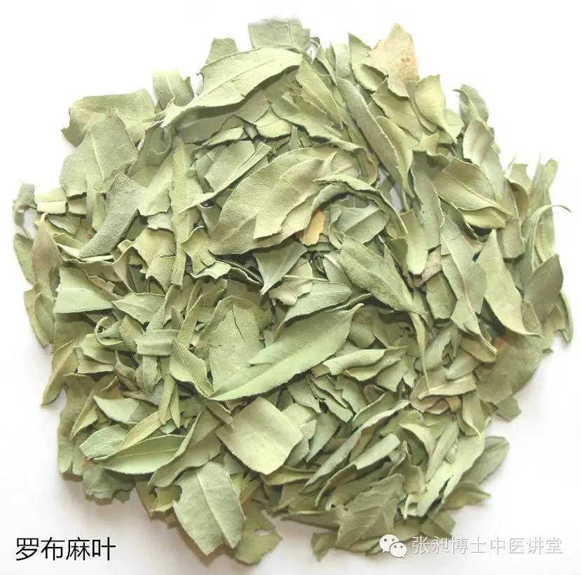 罗布麻叶泡水可以降各种高血压吗,罗布麻叶降血脂