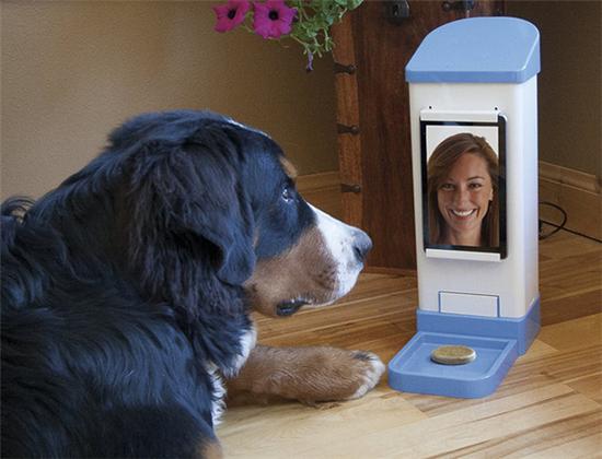 多功能驱狗神器,自动喂食器喊话