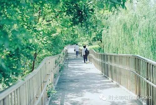 奶茶你不知道的秘密,奶茶不得不说的4个秘密