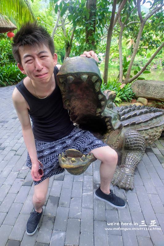 三亚五天四晚旅行团爱上海岛,三亚3天两晚够不够