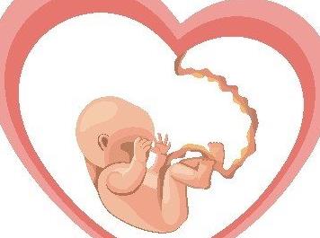 孕28周做的胎儿心脏彩超羊水多,怀孕八个月检查出胎儿心脏问题