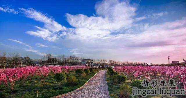 鹿泉空气质量,鹿泉未来发展最好的地方