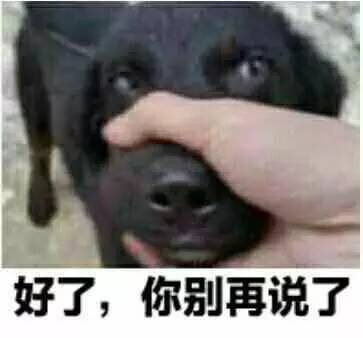 游戏虾丸,虾丸游戏推荐