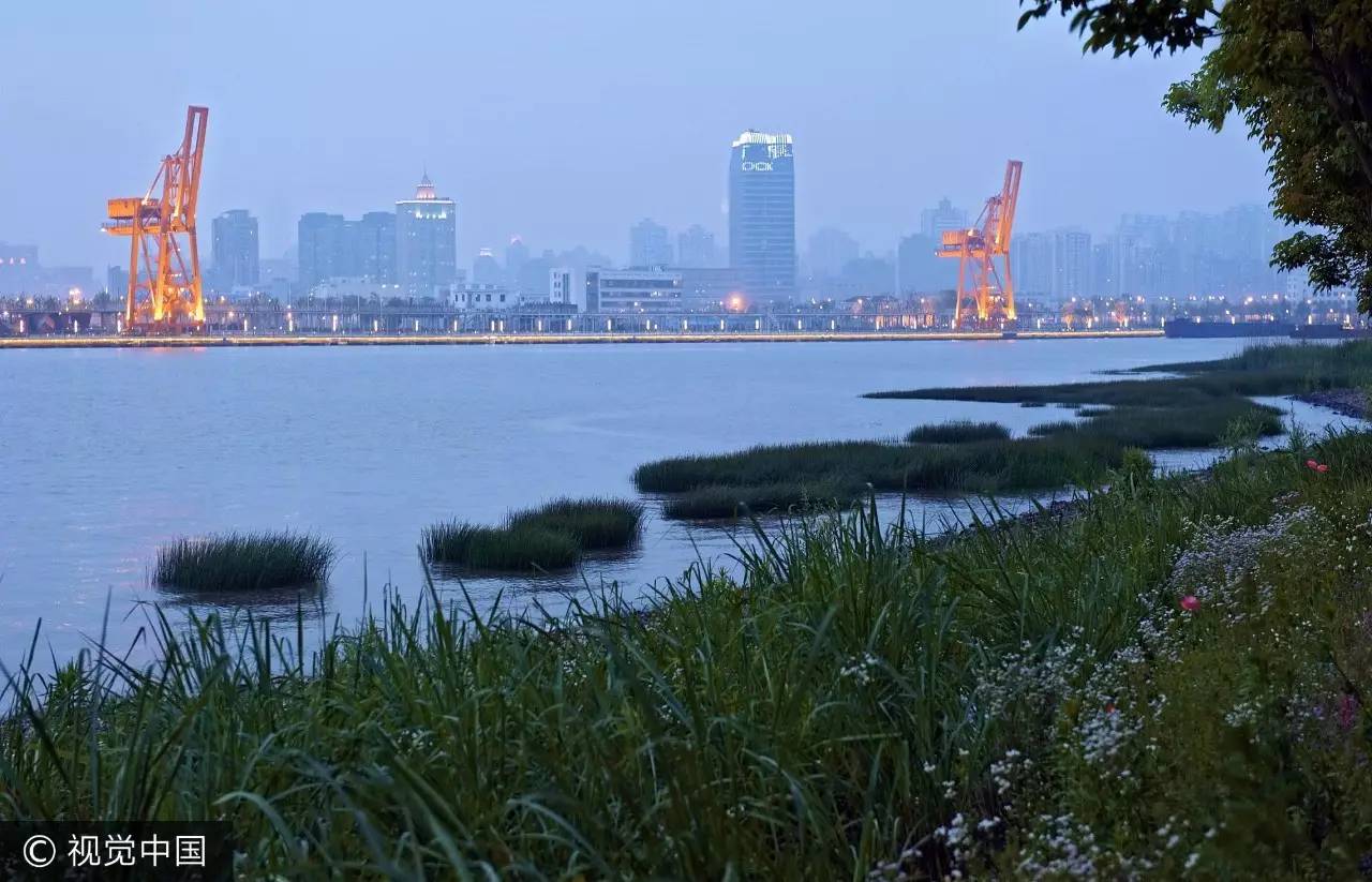 上海乘凉哪里好玩,上海周末乘凉地点排名前十