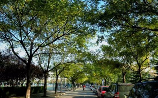 离开了本地就找不到的东西,西外美女最多的地方