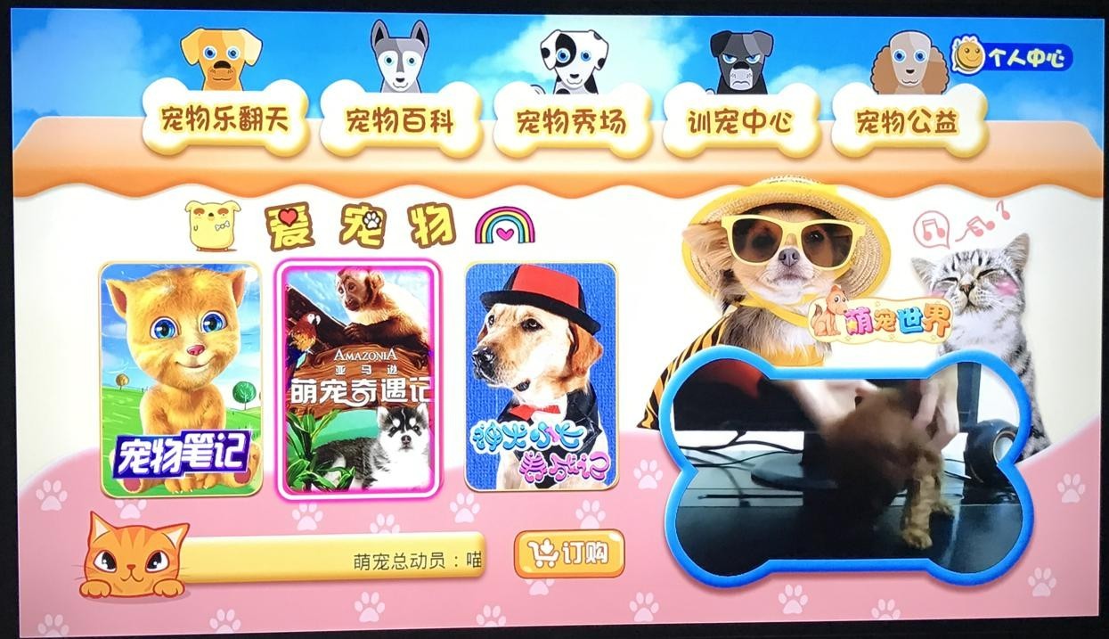 iptv与广电数字电视哪个好,有线电视和iptv对比