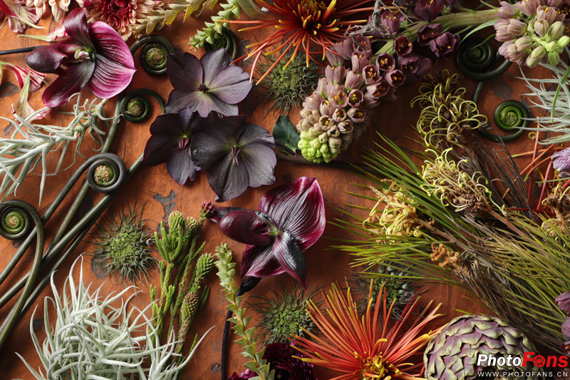 飞入寻常百姓家阅读理解,飞入寻常百姓家介绍