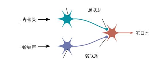 王立铭：育儿文为什么会让你焦虑？