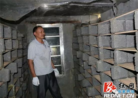 田斌初:痴心养“蛇”走上“致富路”