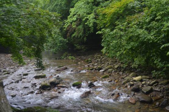 2023年南郑县书画大赛征稿,汉中南郑采风