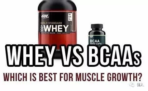 增肌粉有鸡蛋白吗,增肌蛋白粉梯队