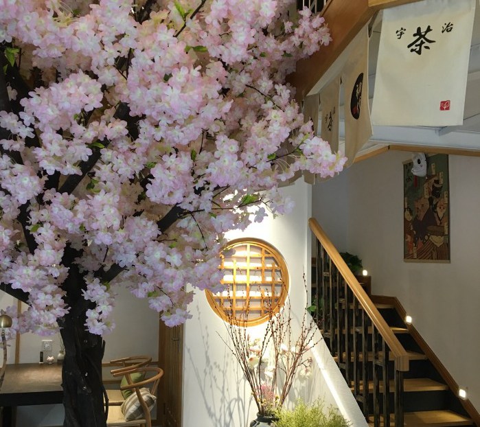 成都网红抹茶价格表,成都网红抹茶作用