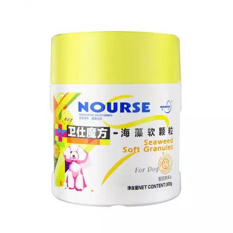 狗中美男子德牧,阿富汗猎犬最有气质的狗