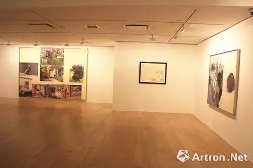 闆呮槍鑹烘湳涓撹,闆呮槍