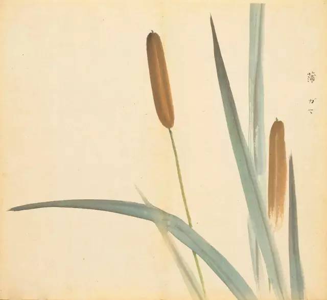 寻溯·花与草的诗情画意