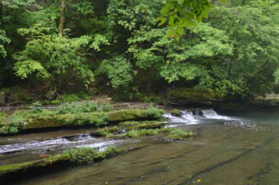 2023年南郑县书画大赛征稿,汉中南郑采风